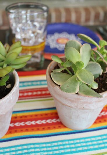 Succulents potted in a terra cotta planter for a fiesta